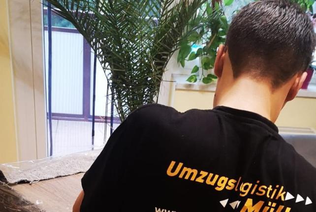 Laborumzug Hainewalde stressfrei umziehen 